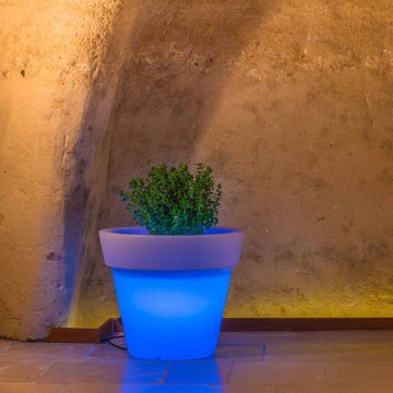 Vaso Begonia In Resina Tondo H45 Lampada Azzurra Ø 50Cm
