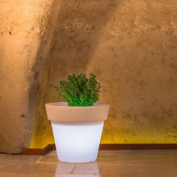 Vaso Begonia In Resina Tondo H45 Lampada Bianca Ø 50Cm