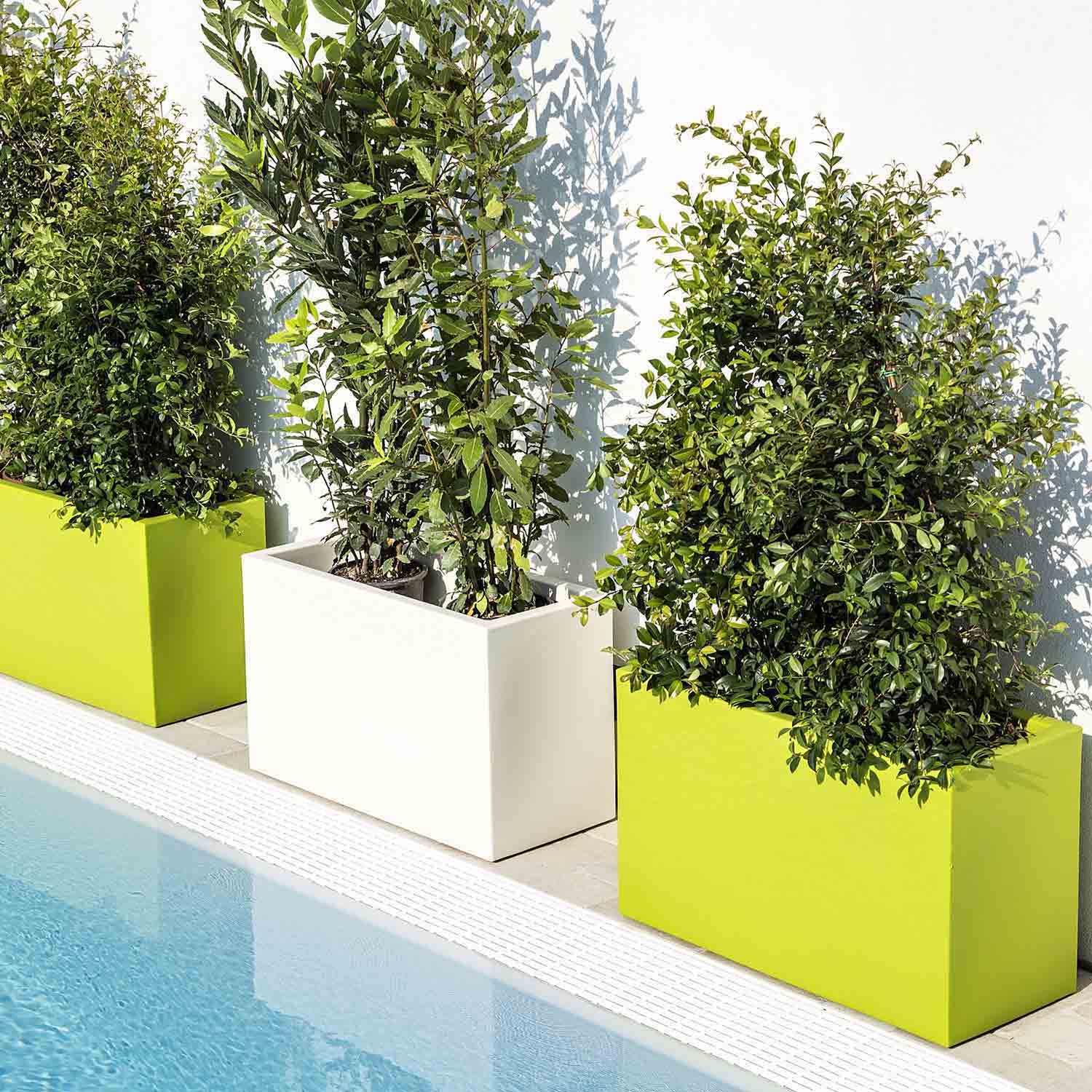 JARDINI RE POT DE FLEURS R SINE PISCINE TERRASSE JARDINI RE POT DE FLEURS R SINE PISCINE TERRASSE